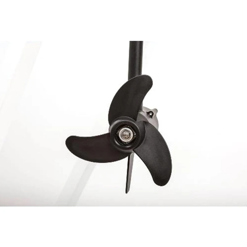 MOTEUR HASWING PROTRUAR 2.0 85 LBS – Image 4